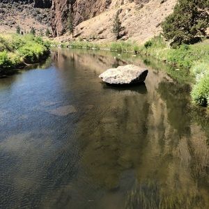 Meet your Posher, Edgar